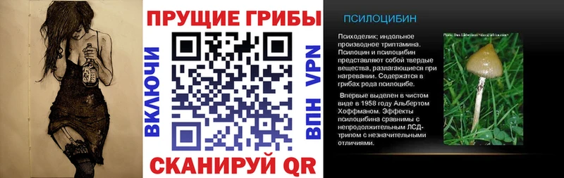 что такое наркотик  Мглин  Галлюциногенные грибы Magic Shrooms 